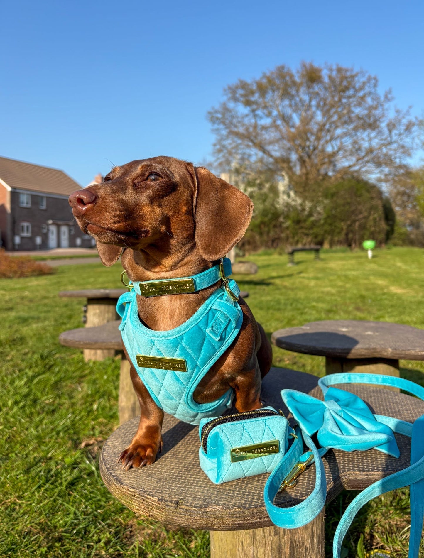Crystal Blue Velvet - Build Your Own Harness Bundle