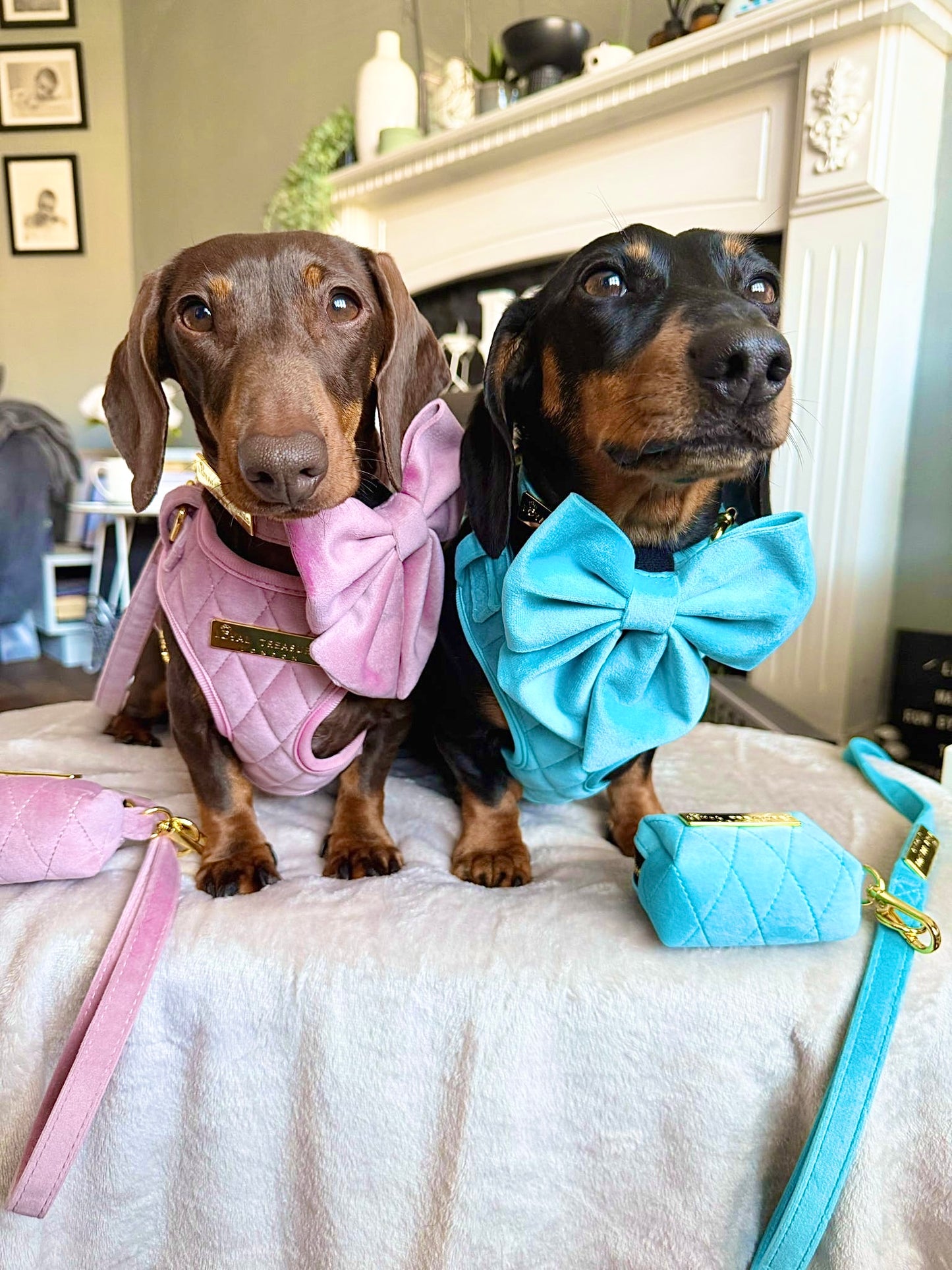 Pretty in Pink Velvet - Build Your Own Harness Bundle