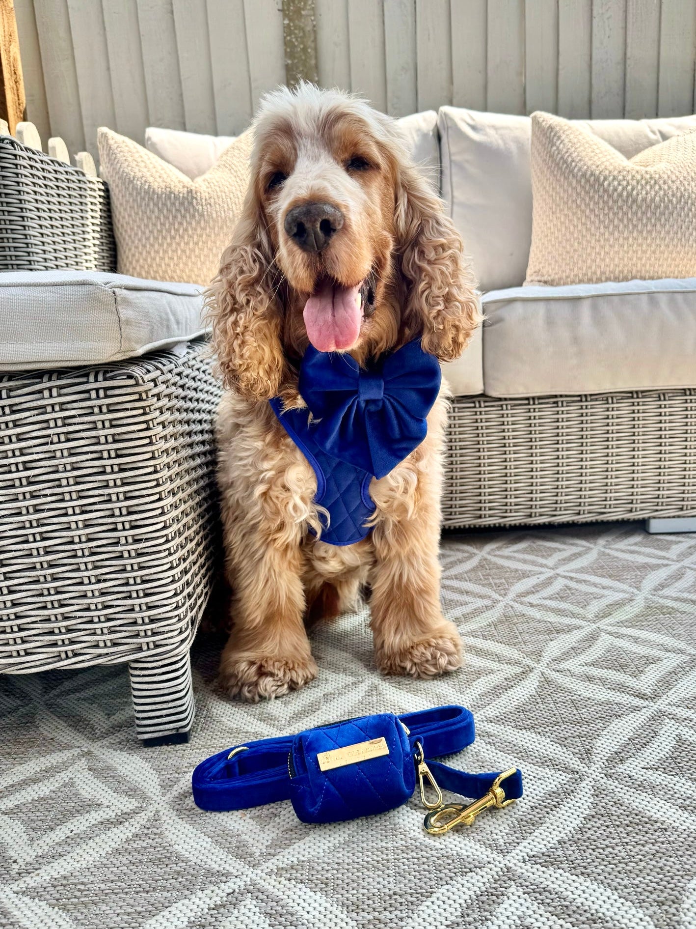 Blue Moon Velvet - Build Your Own Harness Bundle