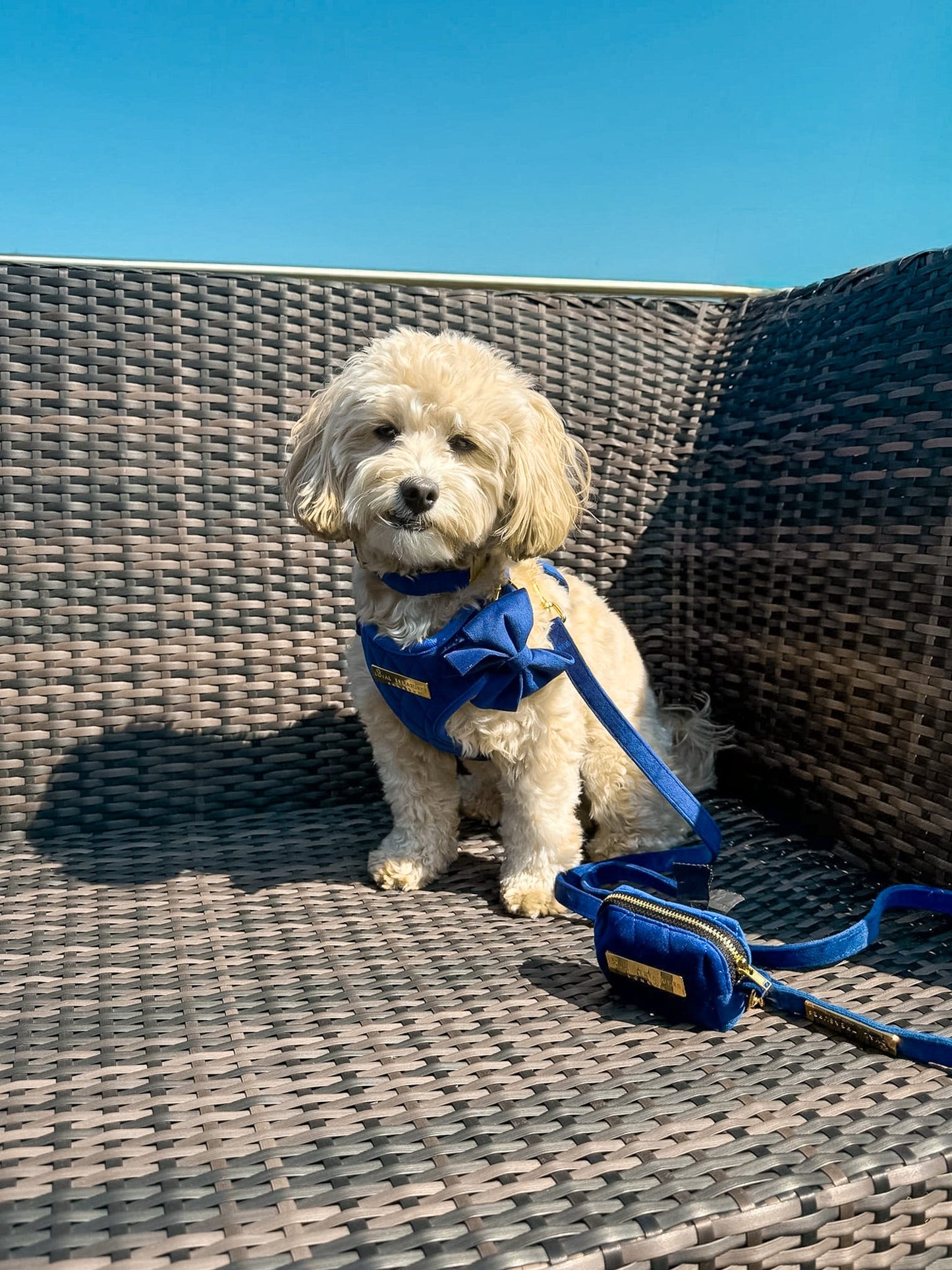 Blue Moon Velvet - Build Your Own Harness Bundle