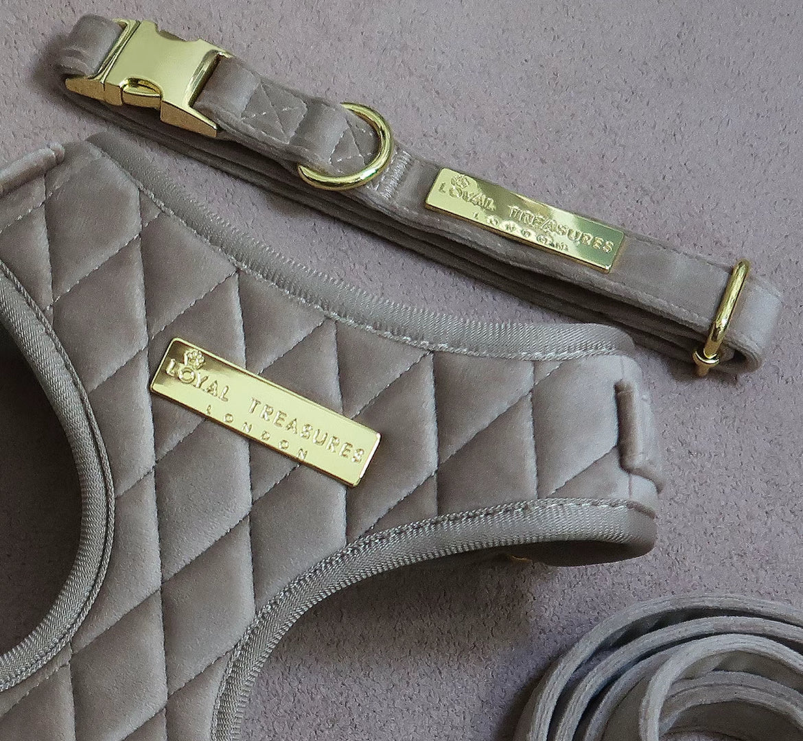 Loyal Treasures Clearance Sale - Harness / Lead / Collars