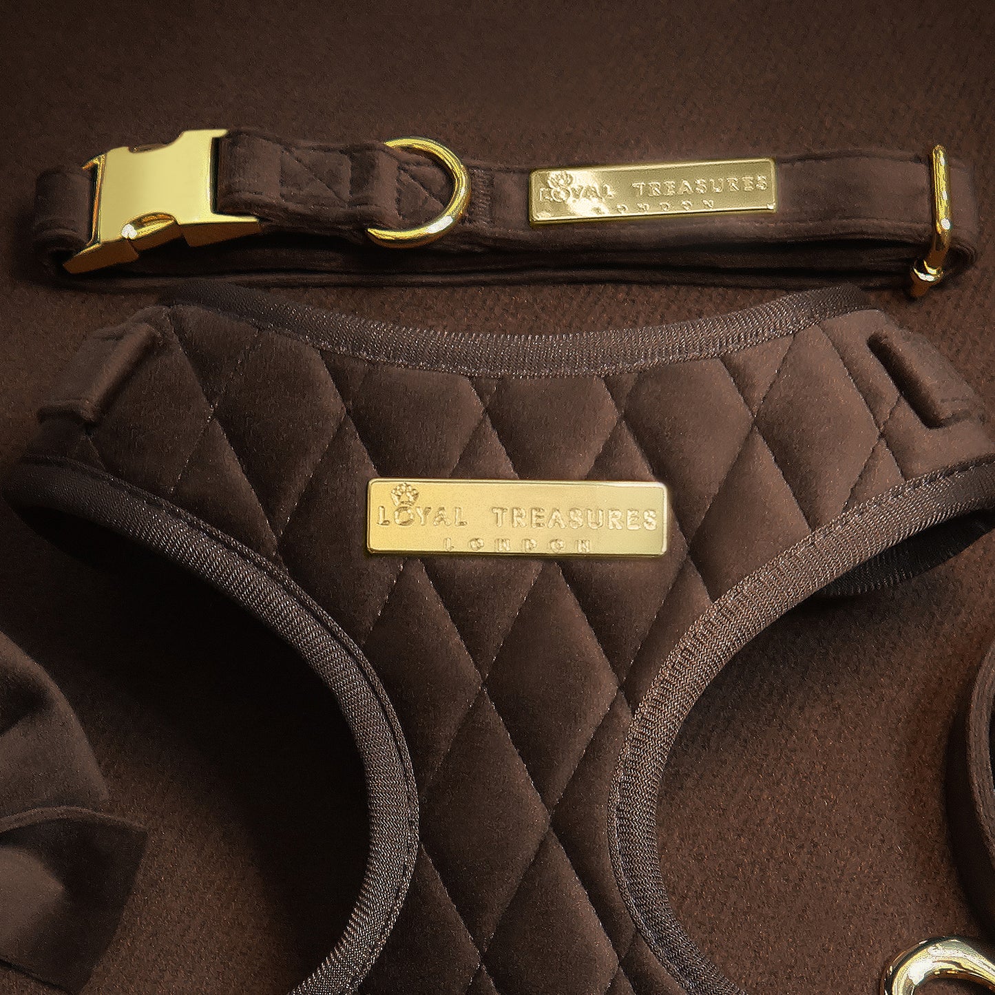 Loyal Treasures Clearance Sale - Harness / Lead / Collars