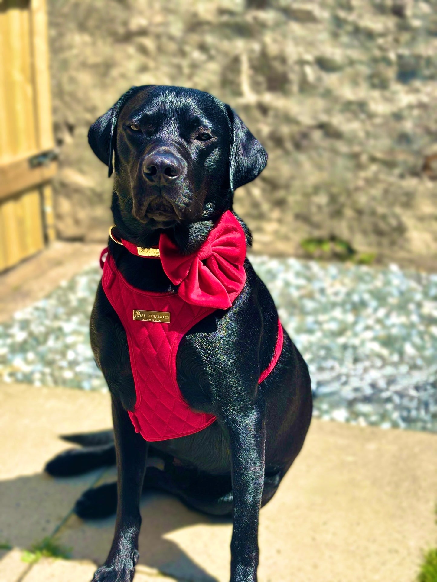 Royal Red Velvet - Build Your Own Harness Bundle