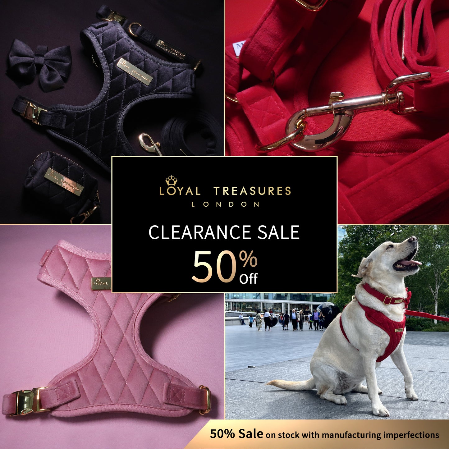 Loyal Treasures Clearance Sale - Harness / Lead / Collars
