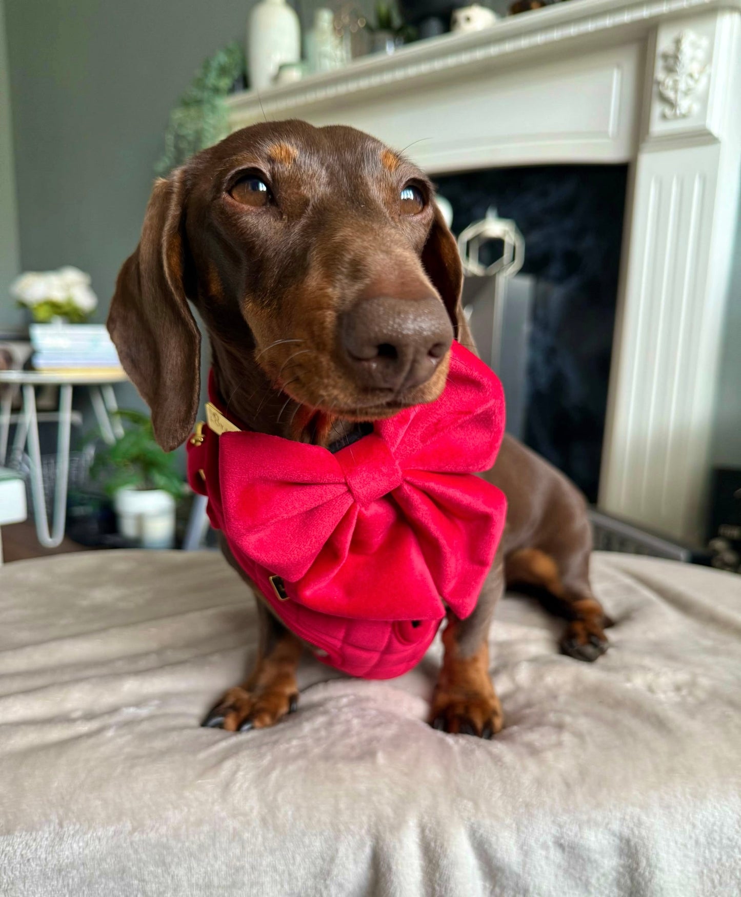 Royal Red Velvet - Build Your Own Harness Bundle