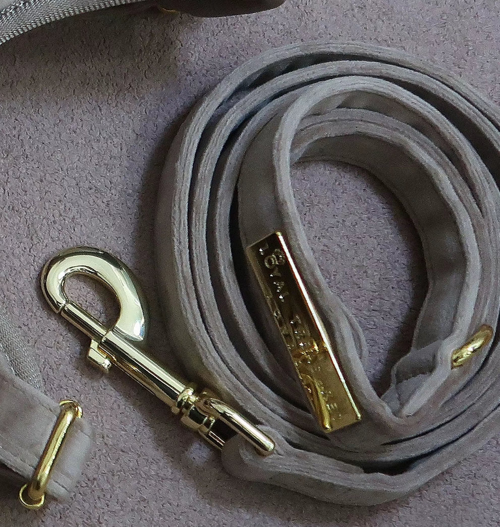 Loyal Treasures Clearance Sale - Harness / Lead / Collars