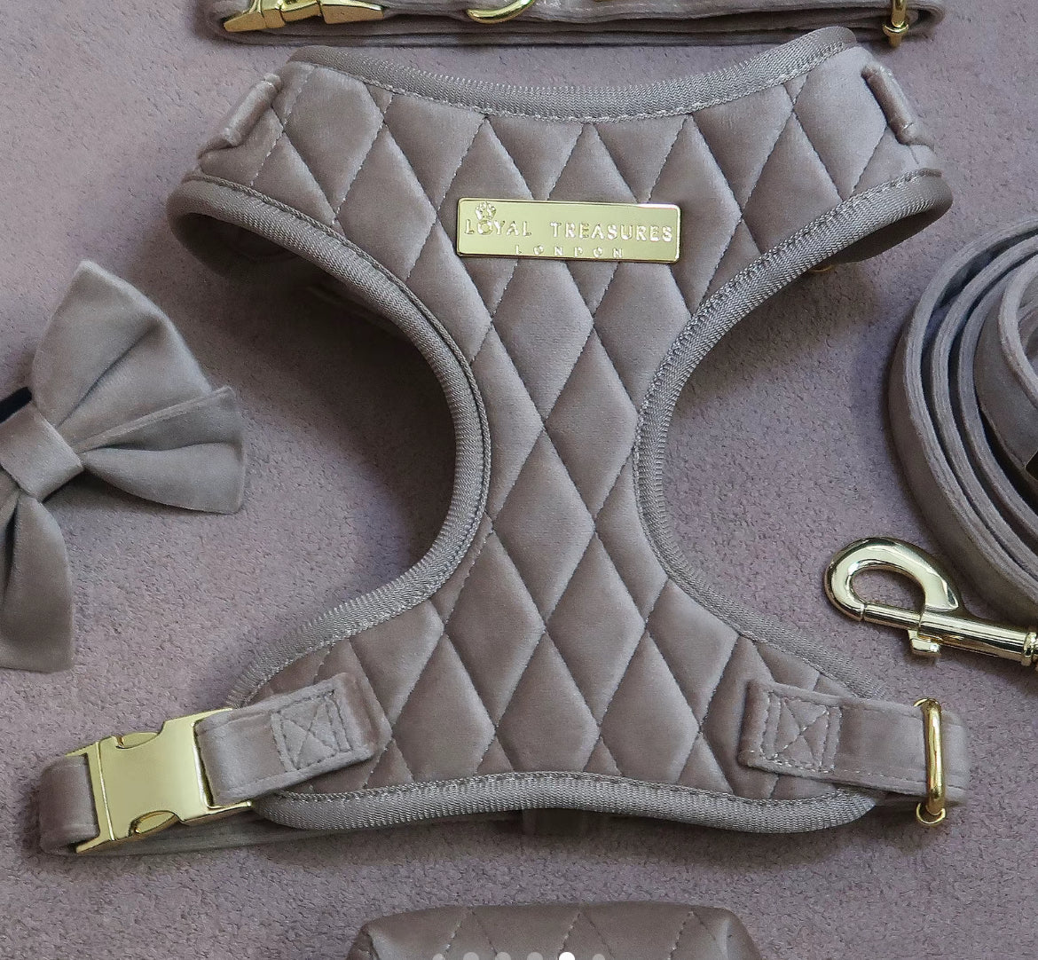 Loyal Treasures Clearance Sale - Harness / Lead / Collars