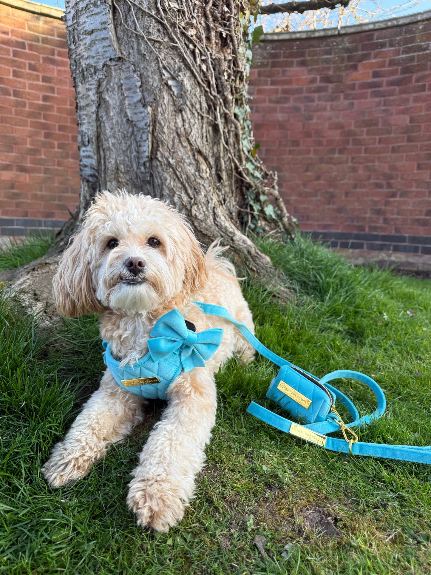 Crystal Blue Velvet - Build Your Own Harness Bundle