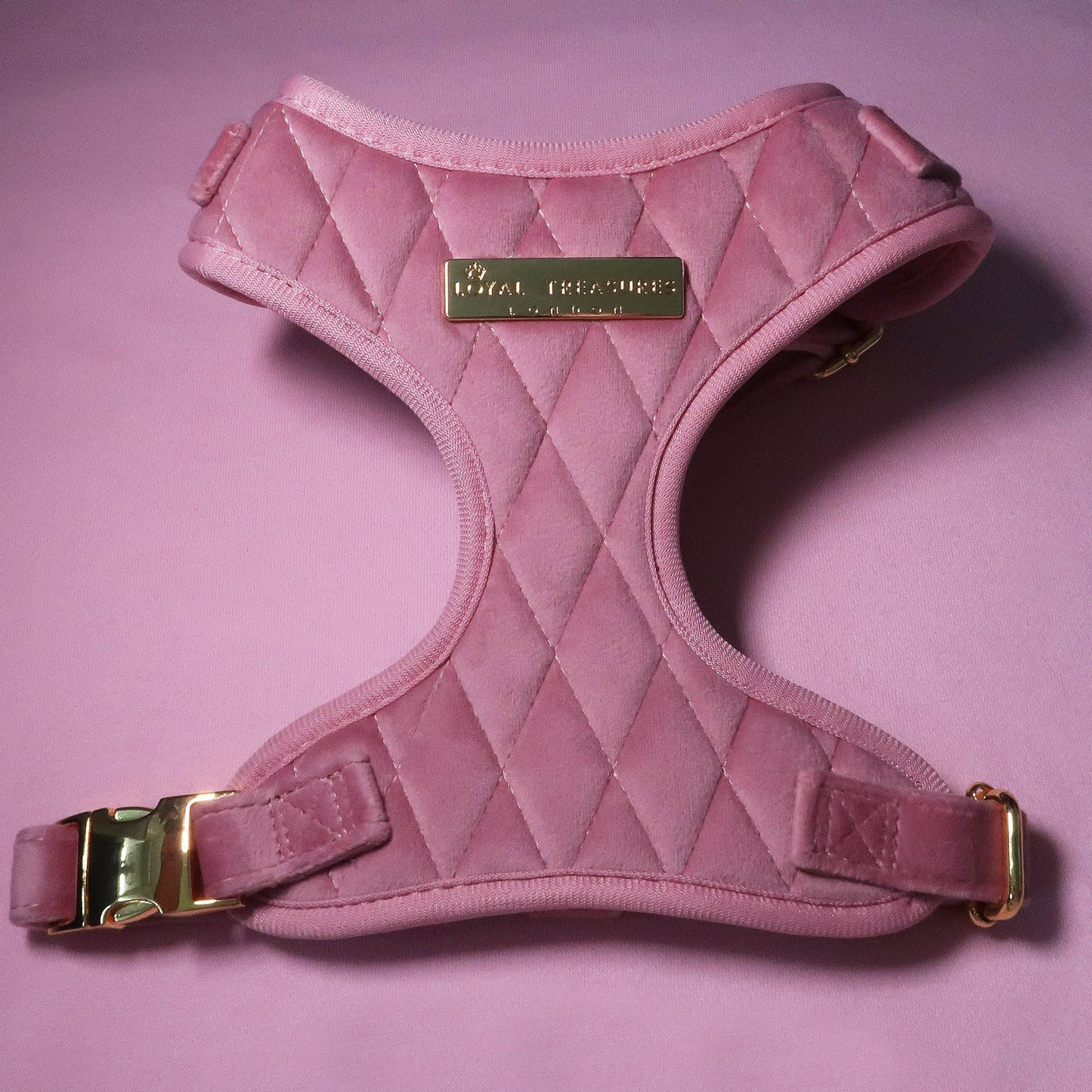 Loyal Treasures Clearance Sale - Harness / Lead / Collars