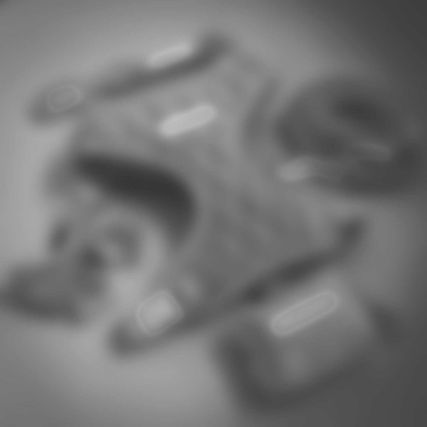 (Members Only) - LV | Loyal Treasures - Build Your Own Dog Harness Bundle