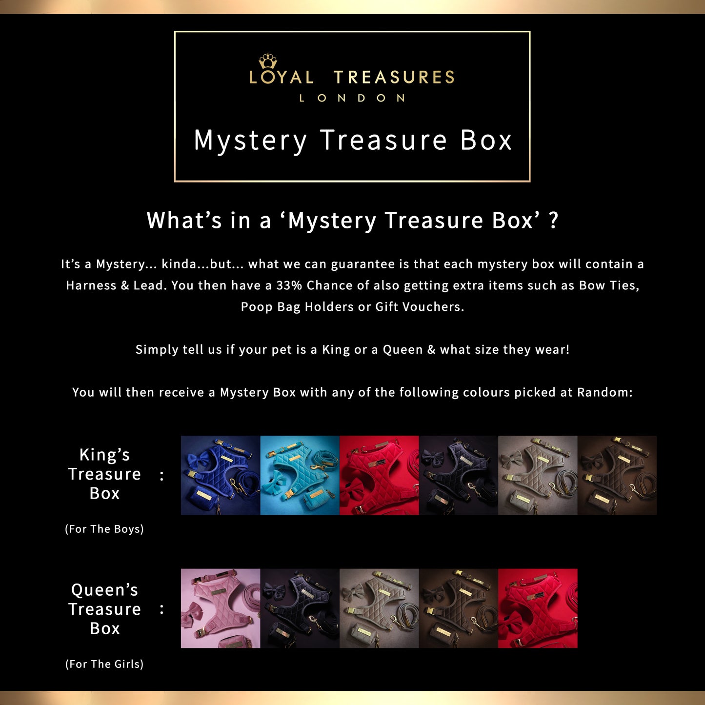 Mystery Treasure Box (Harness & Lead Edition)