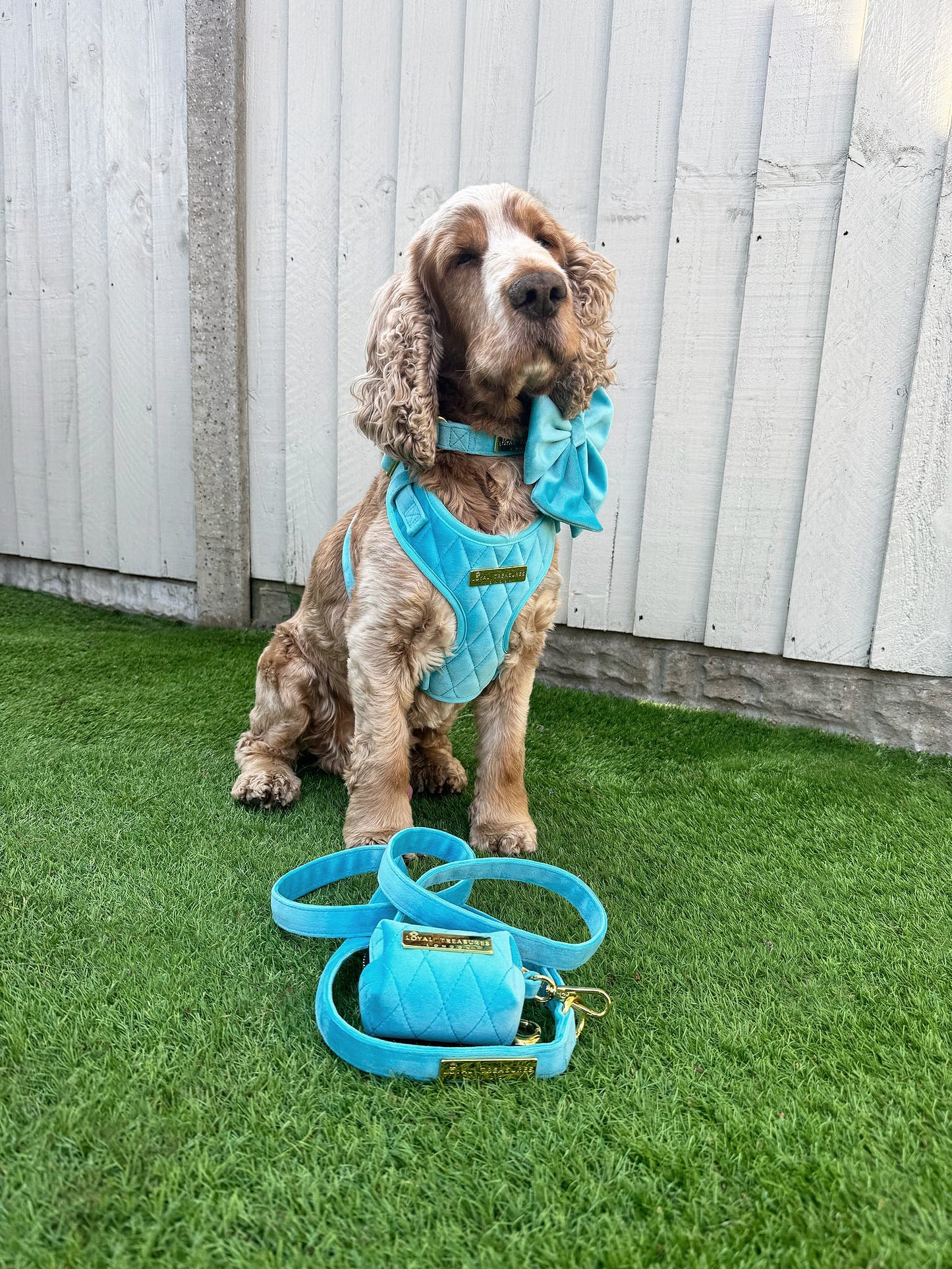 Crystal Blue Velvet - Build Your Own Harness Bundle