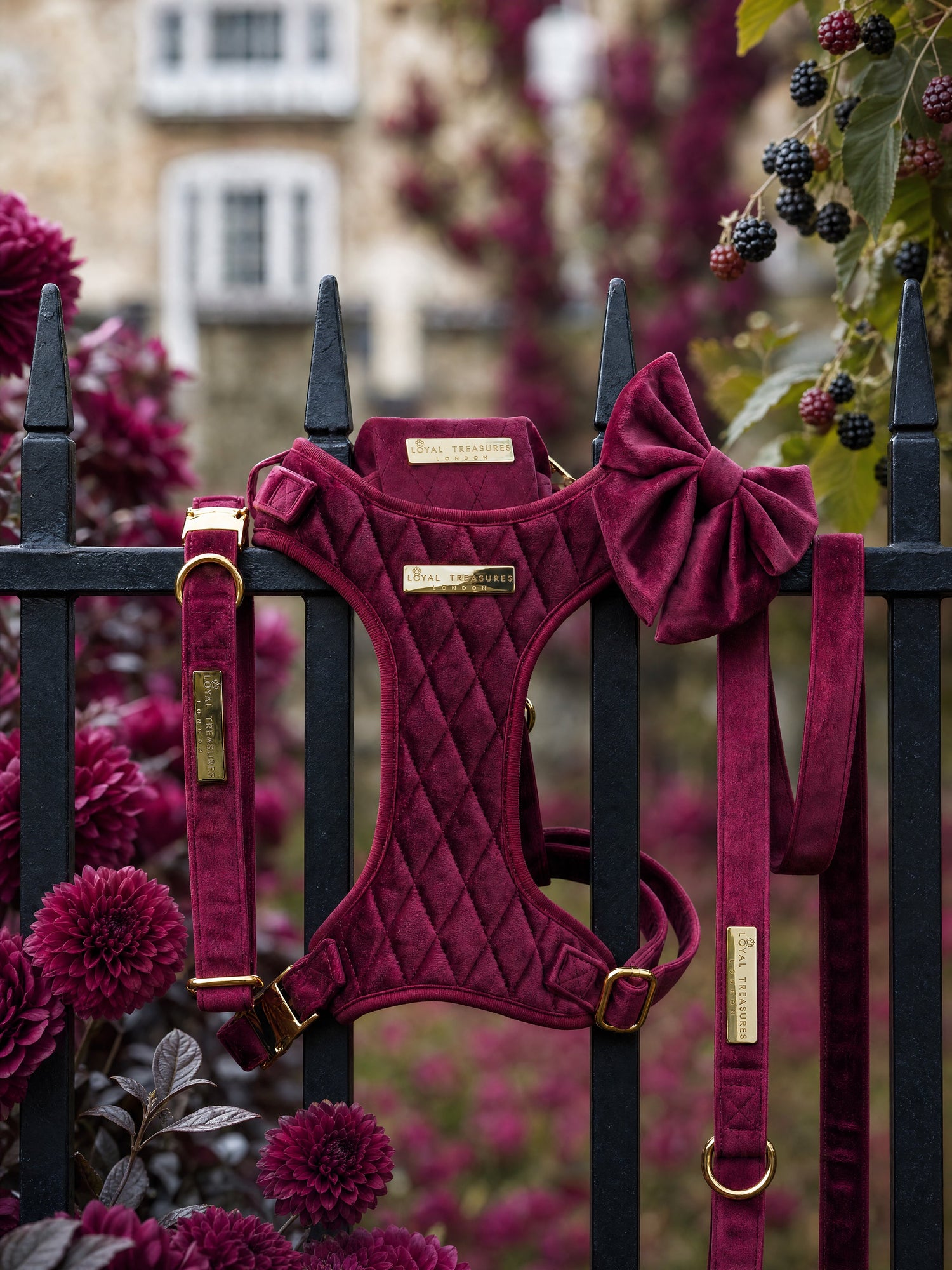 Mulberry Haze | Persian Plum Velvet