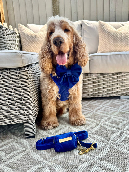 Blue Moon Velvet - Build Your Own Harness Bundle