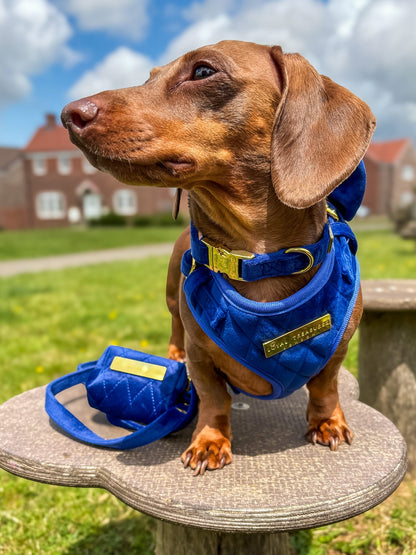 Blue Moon Velvet - Build Your Own Harness Bundle