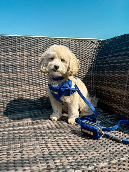 Blue Moon Velvet - Build Your Own Harness Bundle