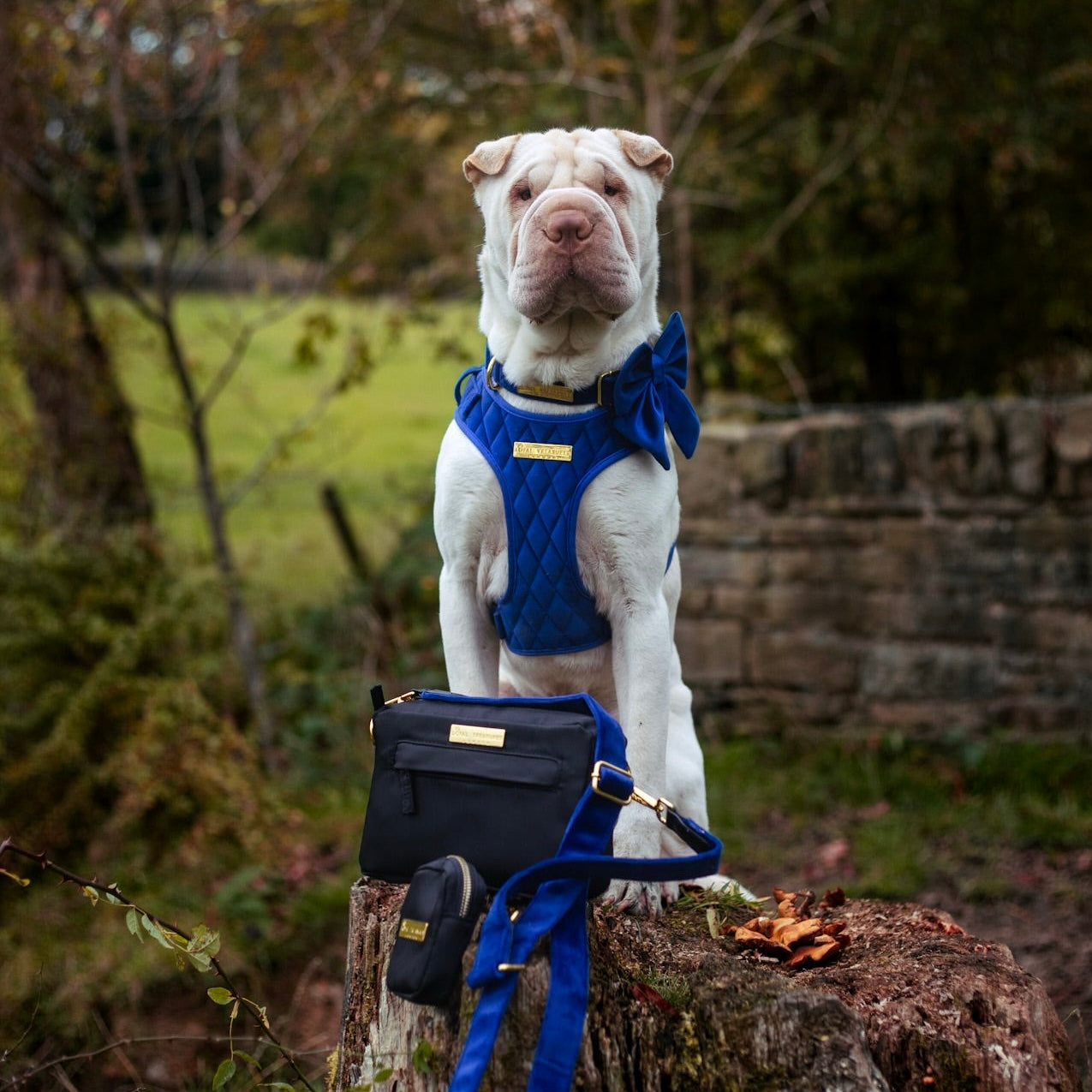 Waterproof Dog Walking Bag