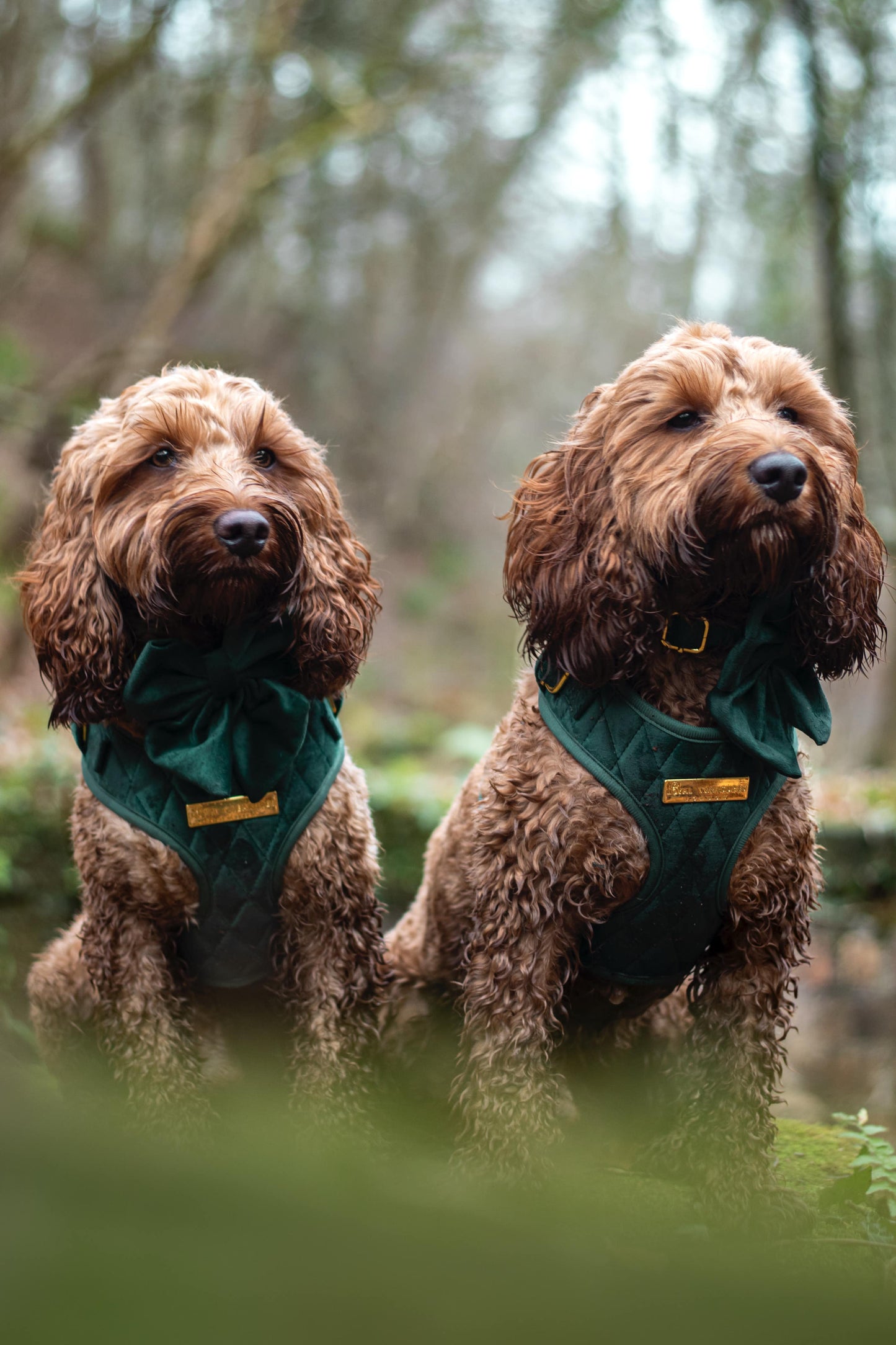 Emerald Quartz Velvet - Build Your Own Harness Bundle