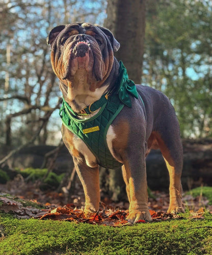 Emerald Quartz Velvet - Build Your Own Harness Bundle