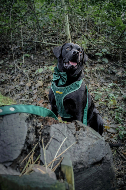 Emerald Quartz Velvet - Build Your Own Harness Bundle