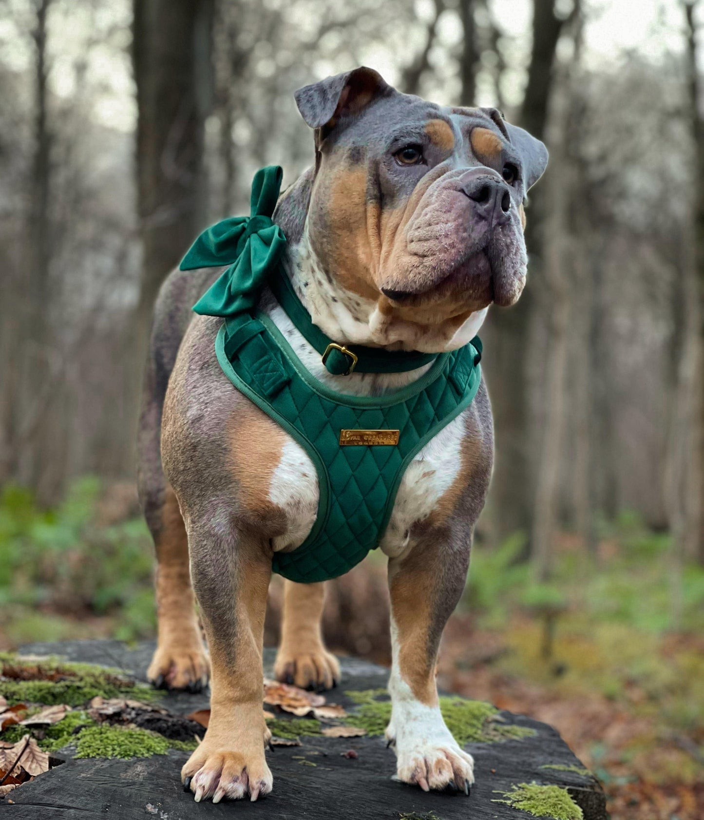 Emerald Quartz Velvet - Build Your Own Harness Bundle