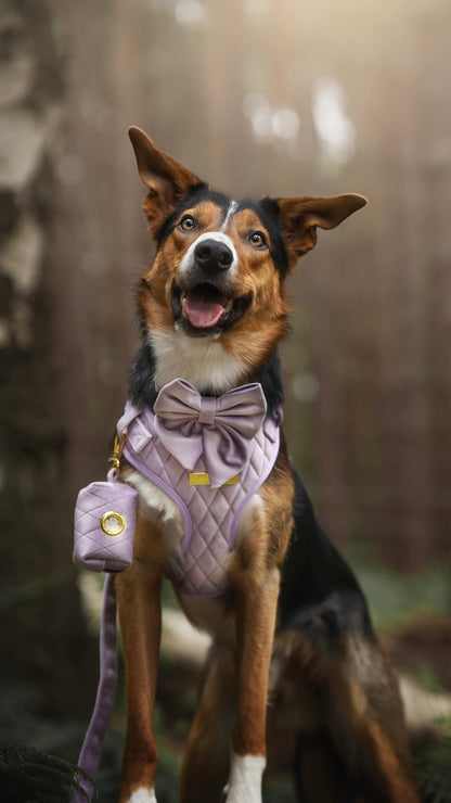 Lavender Veil | Frosted Lilac Velvet - Build Your Own Dog Harness Bundle