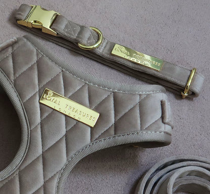 Loyal Treasures Clearance Sale - Harness / Lead / Collars