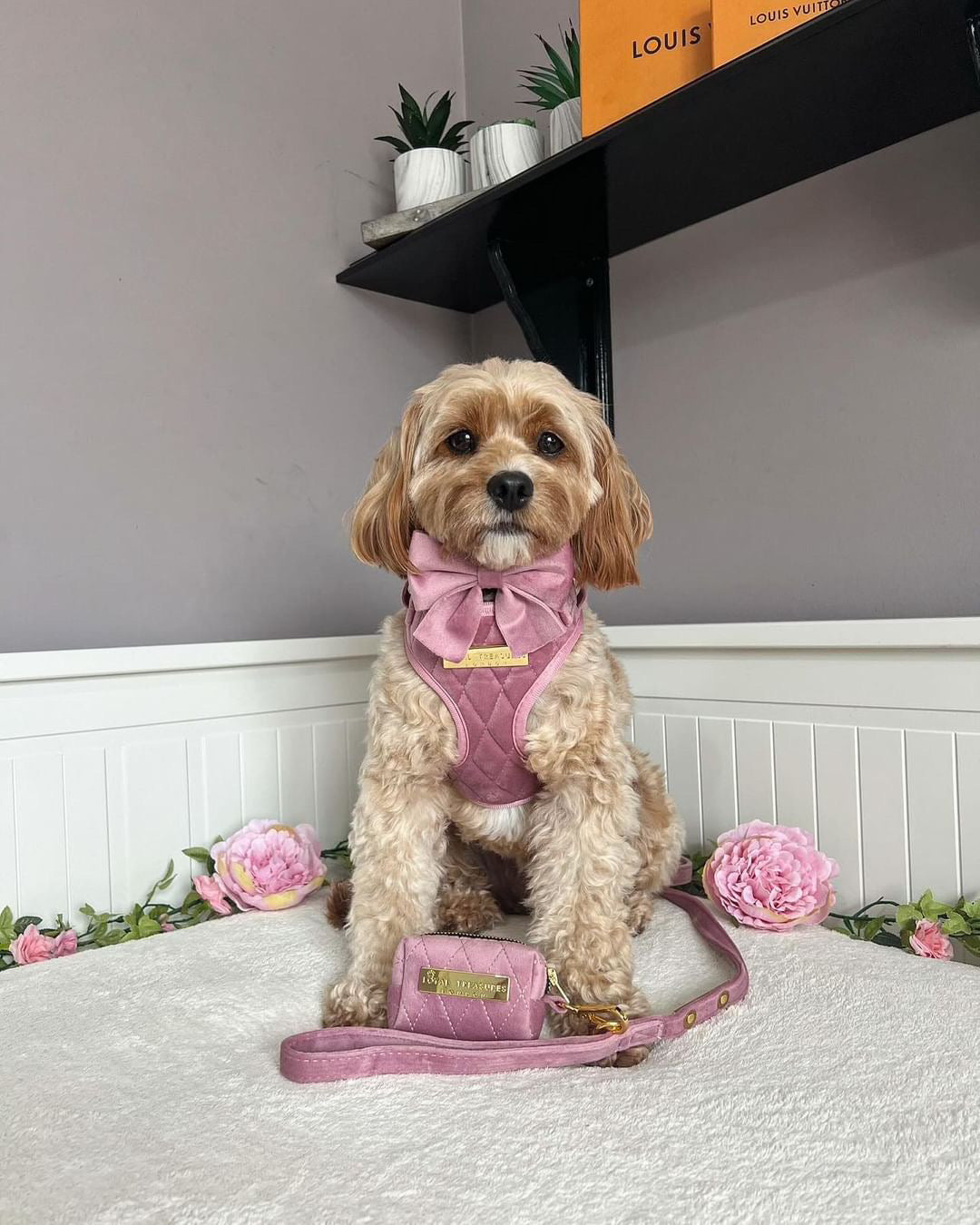 Pretty in Pink Velvet Harness, Lead, Collar, Poop Bag, Bow Tie Bundle