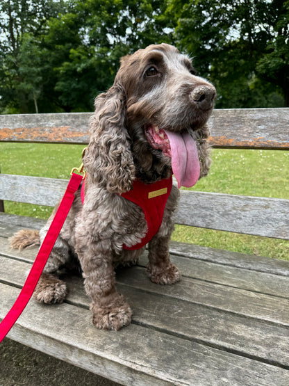 Royal Red Velvet Adjustable Neck Harness & Lead Bundle