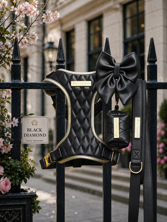 Black Diamond | Blackjack Vegan Leather - Build Your Own Dog Harness Bundle