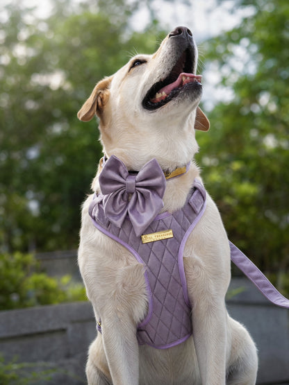 Lavender Veil | Frosted Lilac Velvet - Build Your Own Dog Harness Bundle