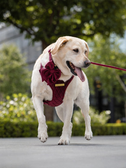 Mulberry Haze | Persian Plum Velvet - Build Your Own Dog Harness Bundle