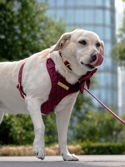 Mulberry Haze | Persian Plum Velvet - Build Your Own Dog Harness Bundle