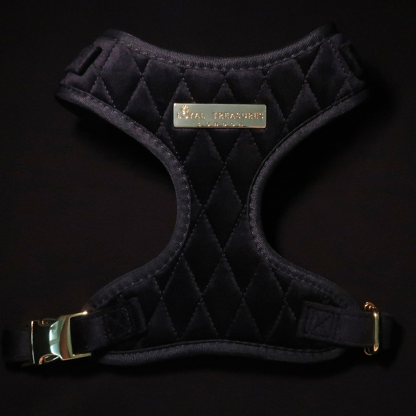 Boujee Black Velvet Adjustable Neck Harness