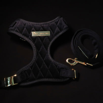 Boujee Black Velvet Adjustable Neck Harness & Lead Bundle