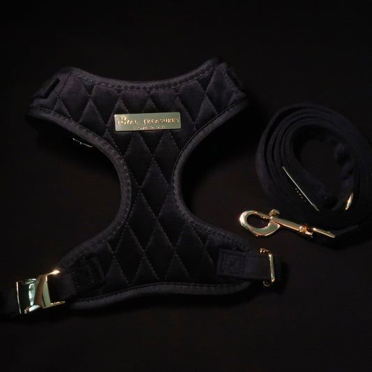 Boujee Black Velvet Adjustable Neck Harness & Lead Bundle