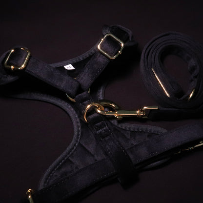 Boujee Black Velvet Adjustable Neck Harness & Lead Bundle