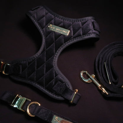 Boujee Black Velvet Harness, Lead & Collar Bundle