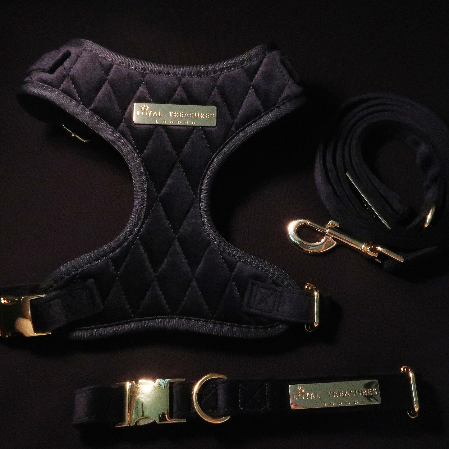 Boujee Black Velvet Harness, Lead & Collar Bundle