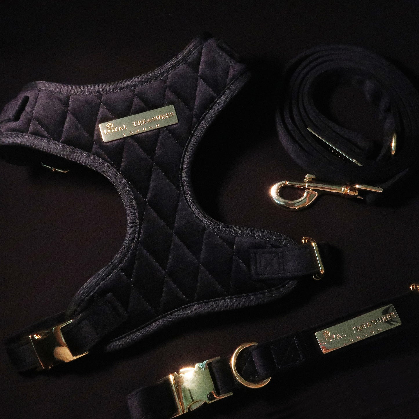 Boujee Black Velvet Harness, Lead & Collar Bundle