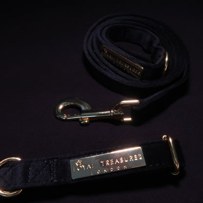 Boujee Black Velvet Lead & Collar Bundle