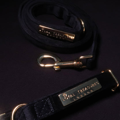 Boujee Black Velvet Lead & Collar Bundle