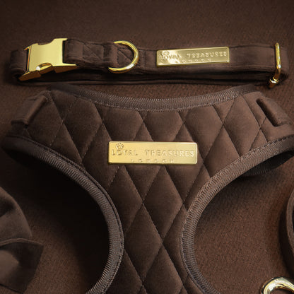 Loyal Treasures Clearance Sale - Harness / Lead / Collars