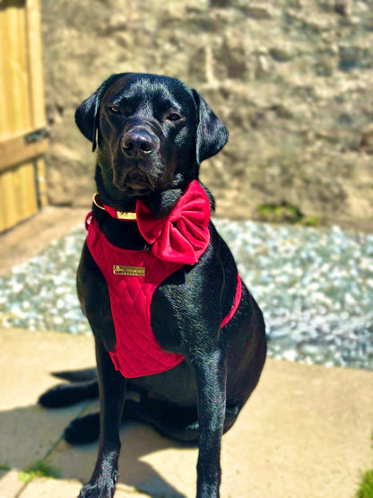Royal Red Velvet - Build Your Own Harness Bundle