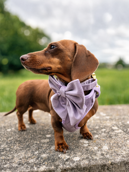 Lavender Veil | Frosted Lilac Velvet - Build Your Own Dog Harness Bundle