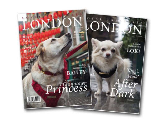 The London Dog Model Experience By Loyal Treasures (Model Experience Package)