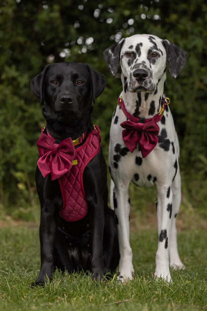Mulberry Haze | Persian Plum Velvet - Build Your Own Dog Harness Bundle