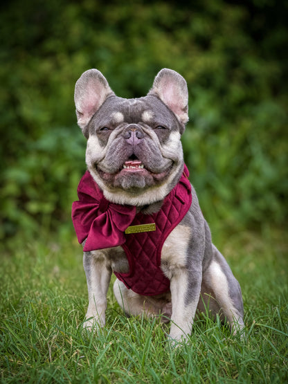 Mulberry Haze | Persian Plum Velvet - Build Your Own Dog Harness Bundle
