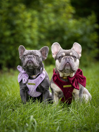 Lavender Veil | Frosted Lilac Velvet - Build Your Own Dog Harness Bundle