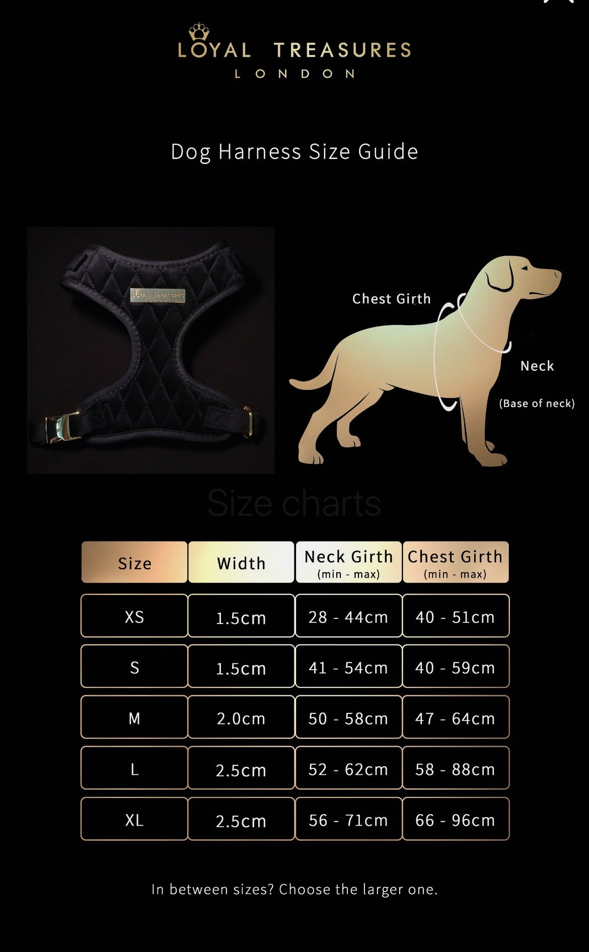 Adjustable Velvet Collar
